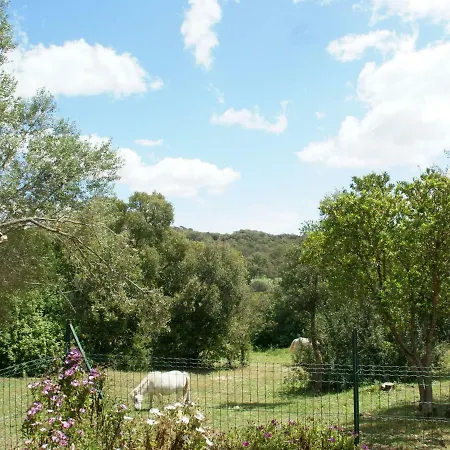 Modern In Porto-vecchio With Pool Holiday home *
